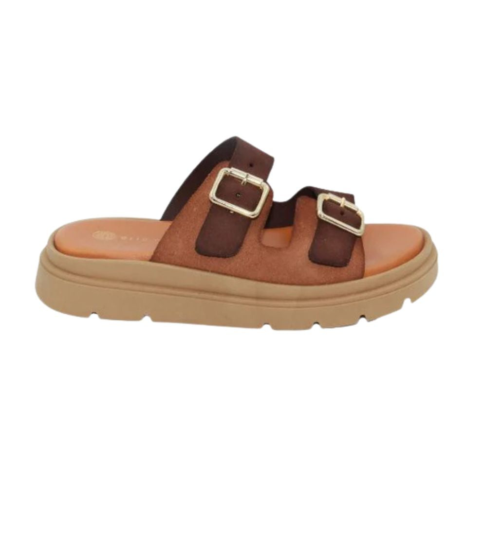 #color_BROWN