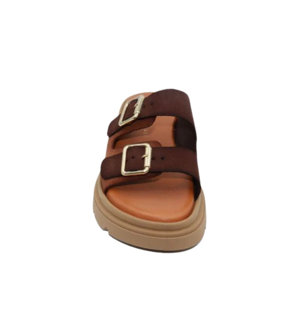 #color_BROWN