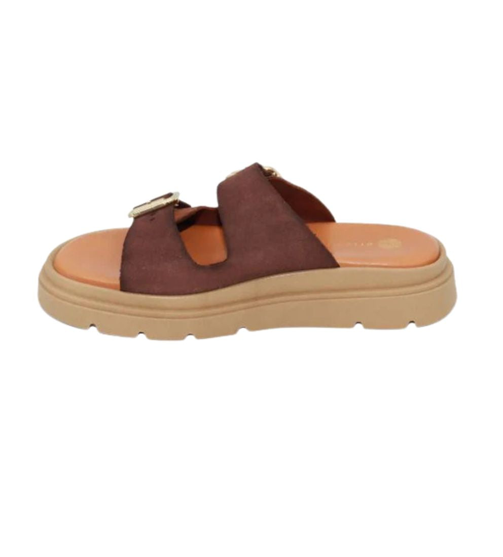 #color_BROWN