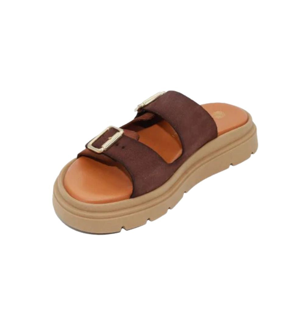 #color_BROWN