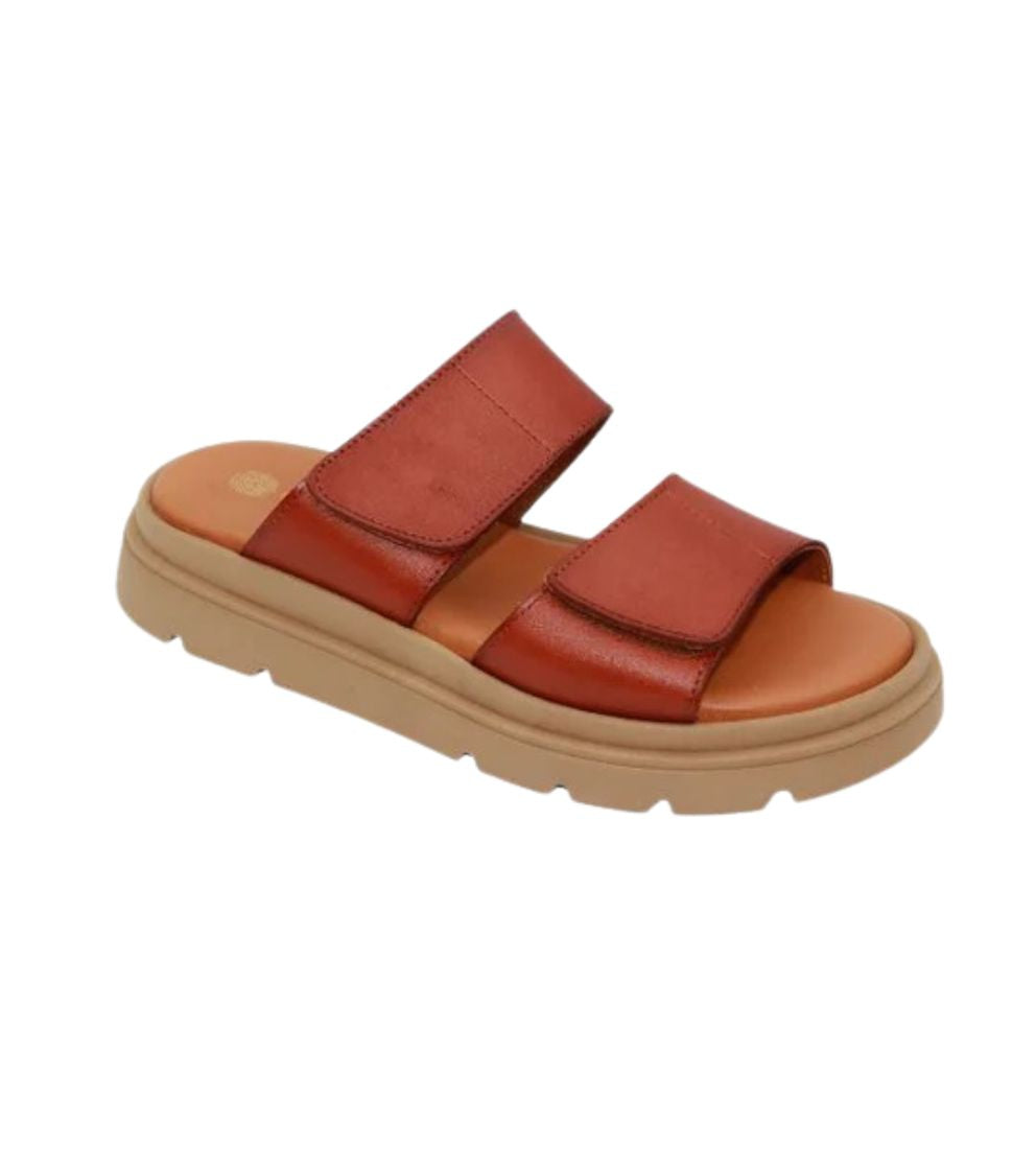 #color_BROWN