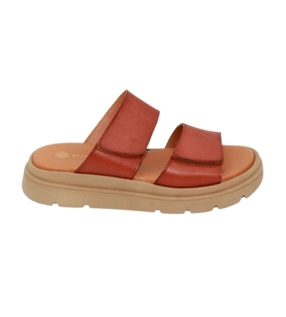 #color_BROWN