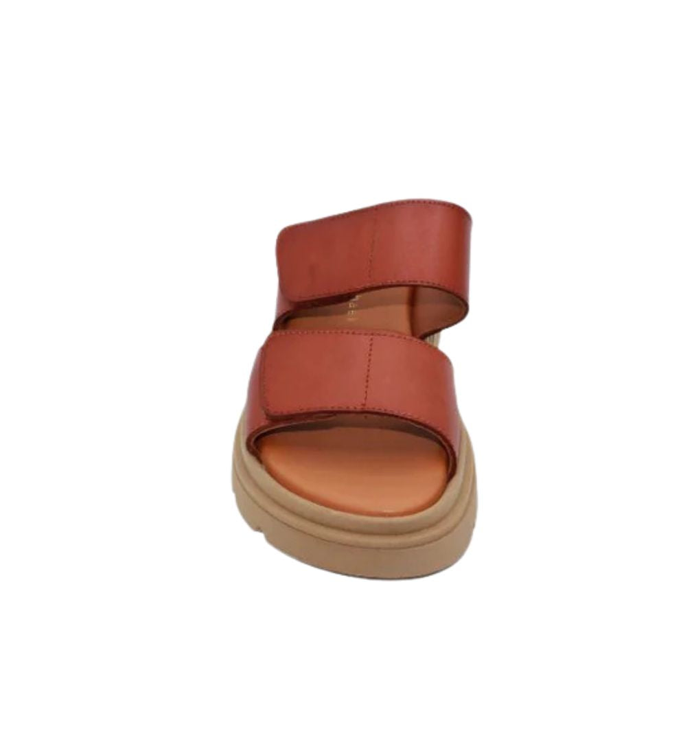 #color_BROWN
