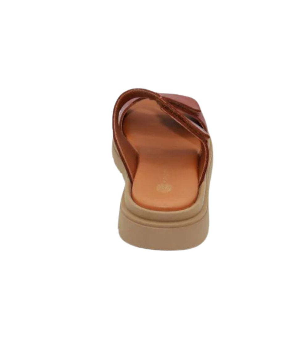 #color_BROWN