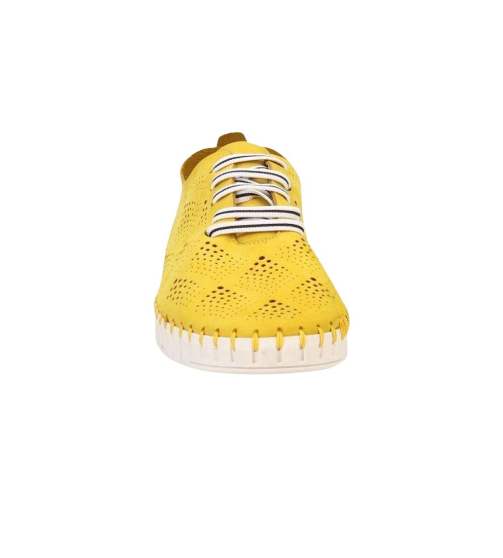 #color_YELLOW