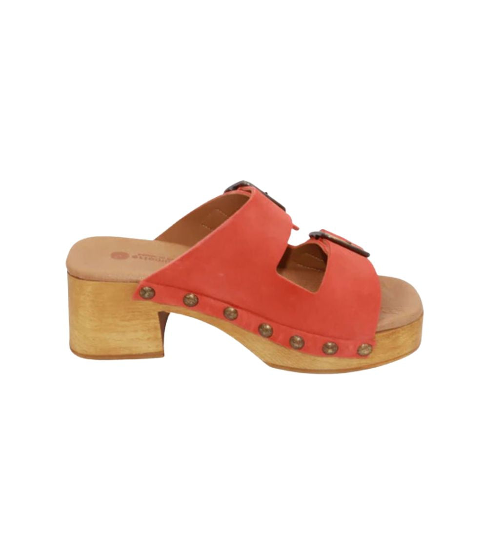 #color_CORAL