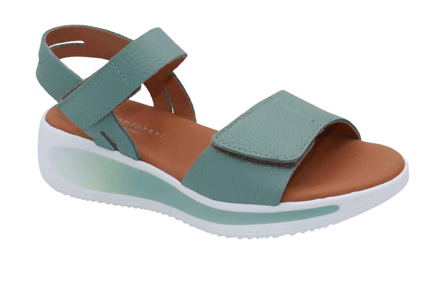#color_Teal