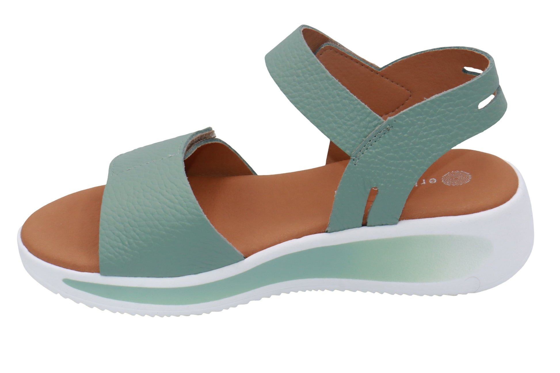 #color_Teal