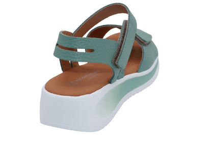 #color_Teal