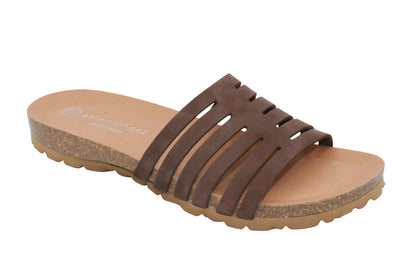 #color_Brown