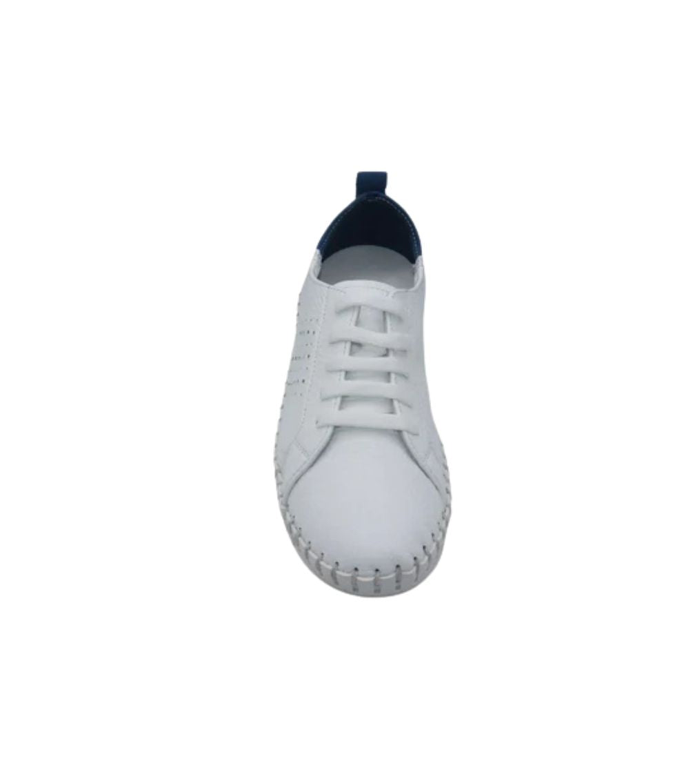 #color_WHITE