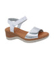White/Silver