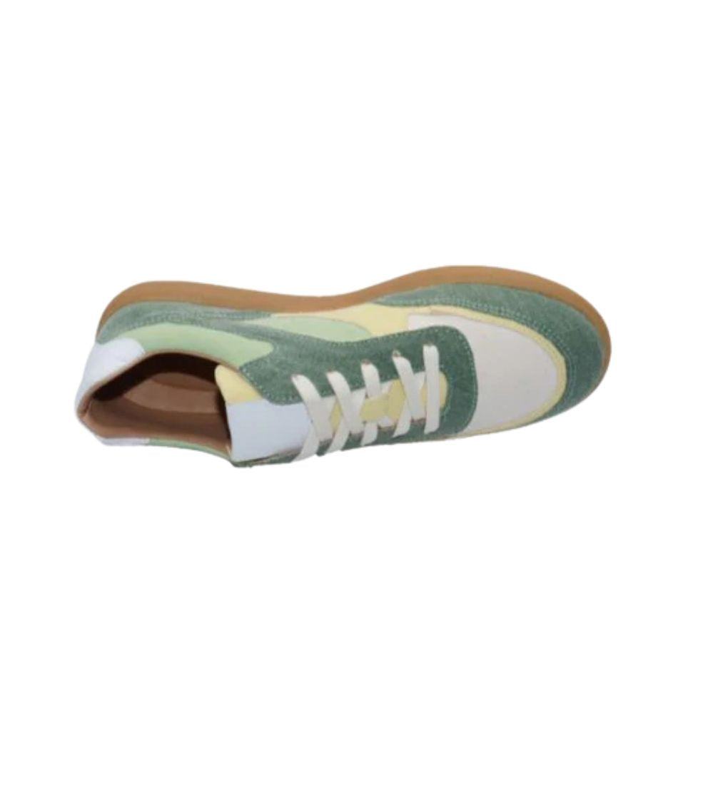 #color_Green Multi