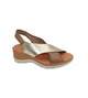 tan/gold
