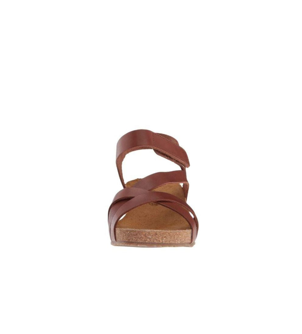 #color_Brown