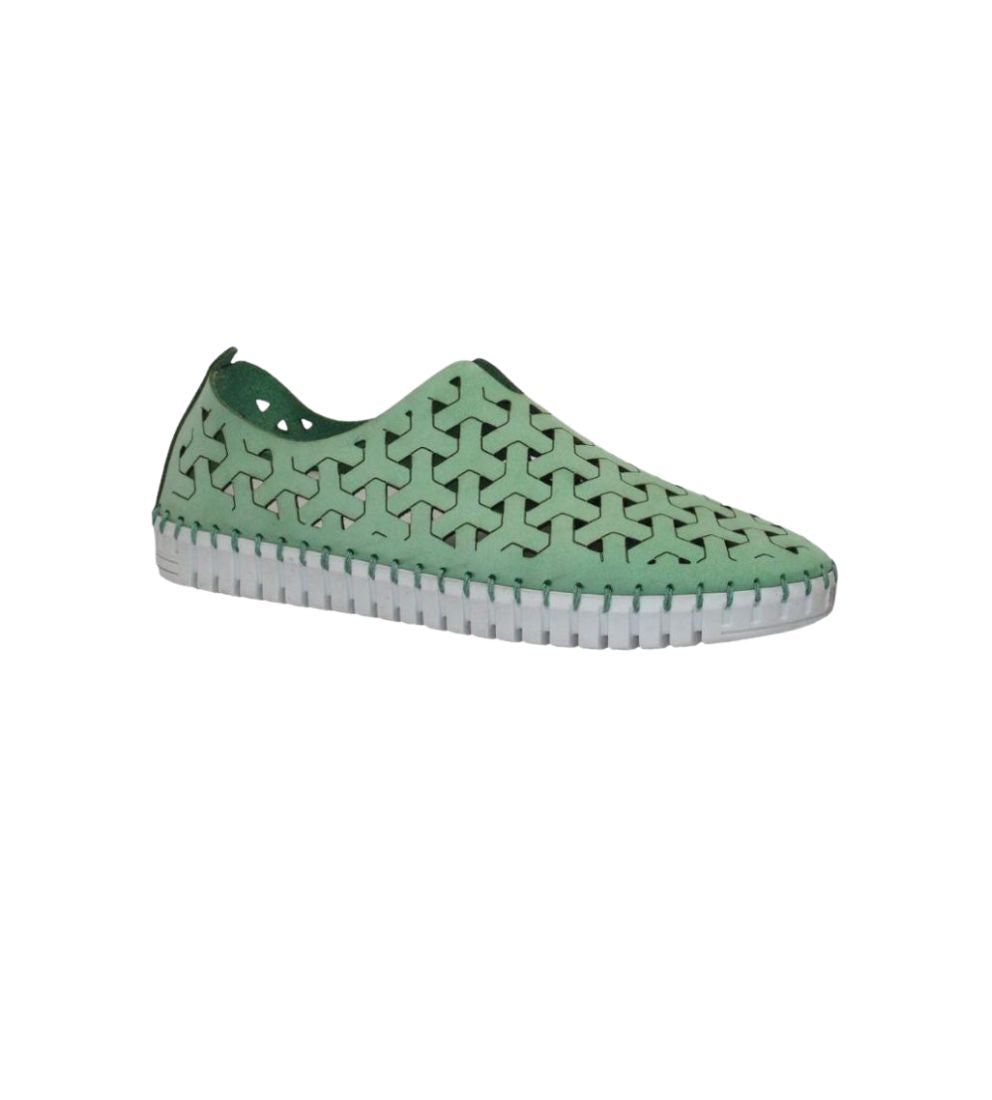 #color_Green