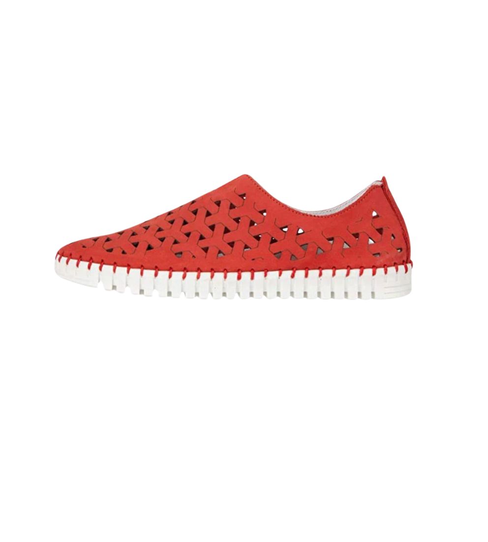 #color_Red