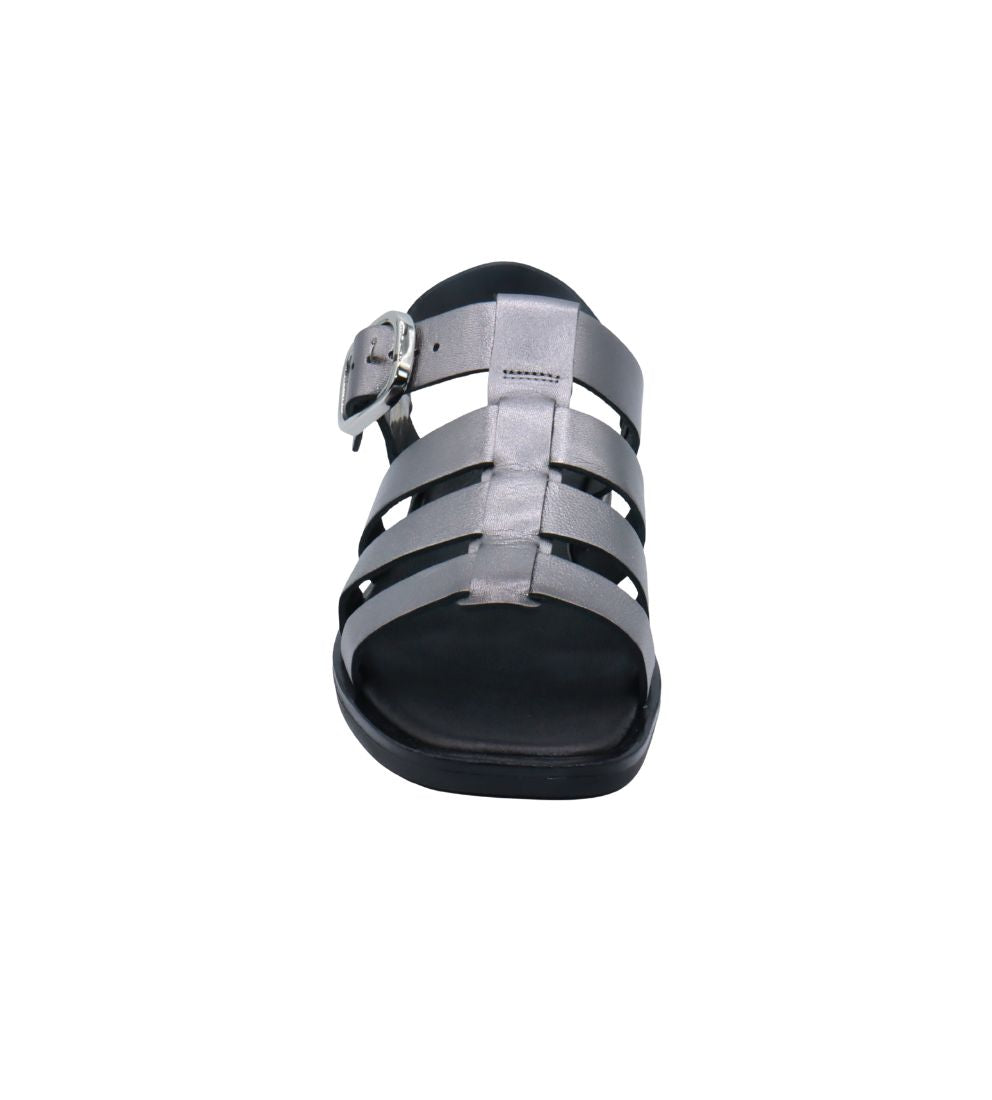 #color_Pewter