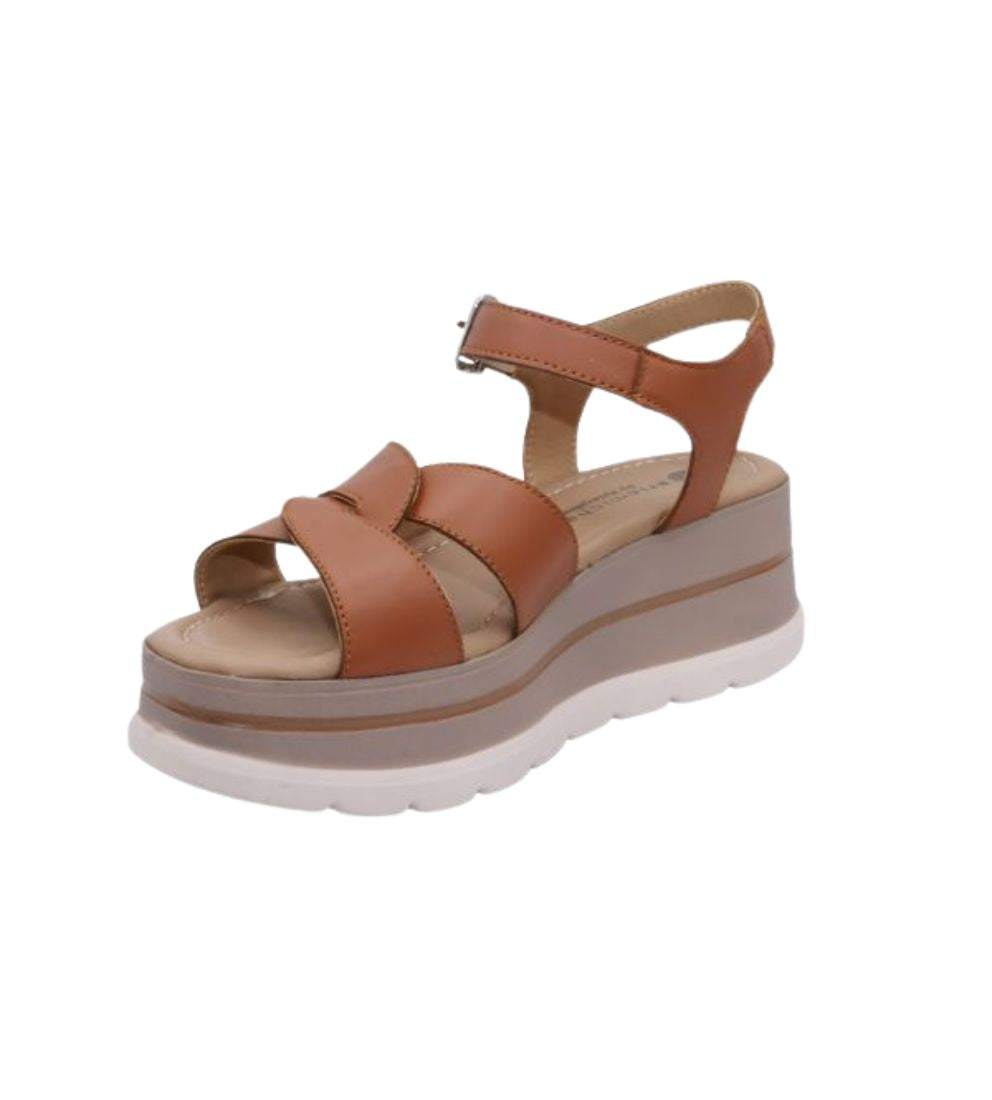 #color_Tan