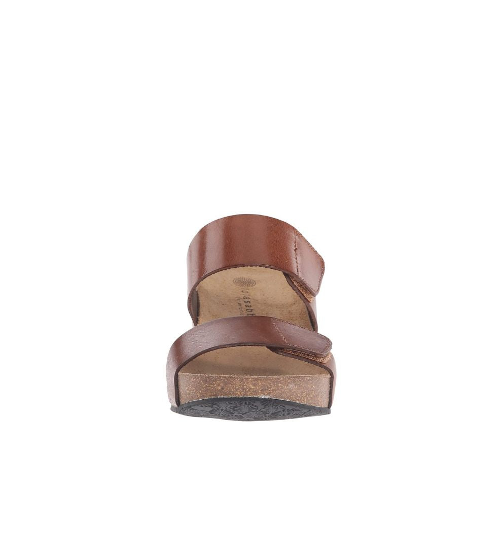 #color_Brown Leather