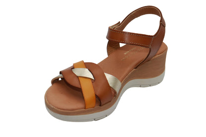 #color_Tan Combo