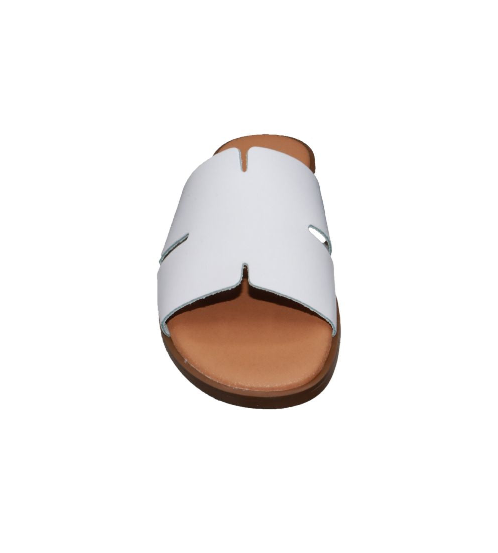 #color_White Leather