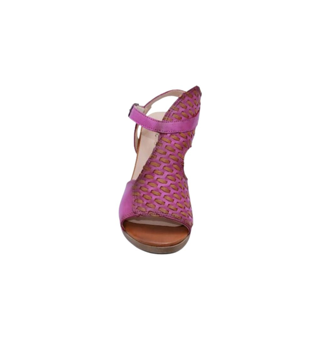 #color_fuschia multi