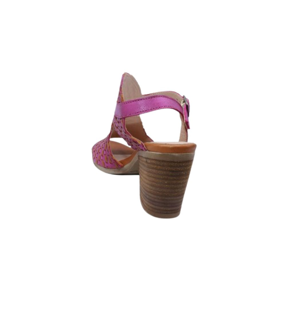 #color_fuschia multi
