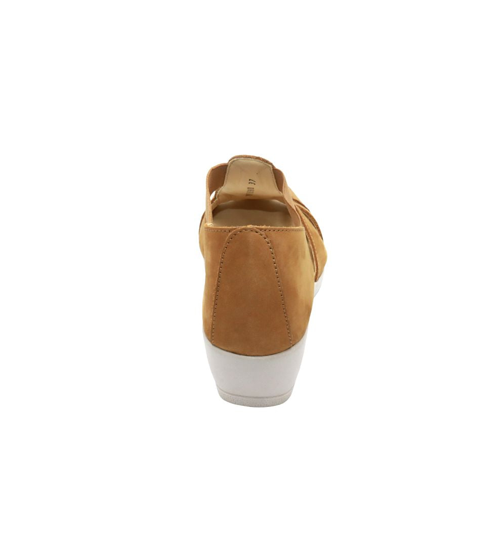 #color_Camel