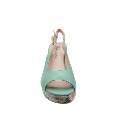 #color_TEAL