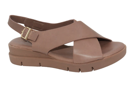 #color_Brown